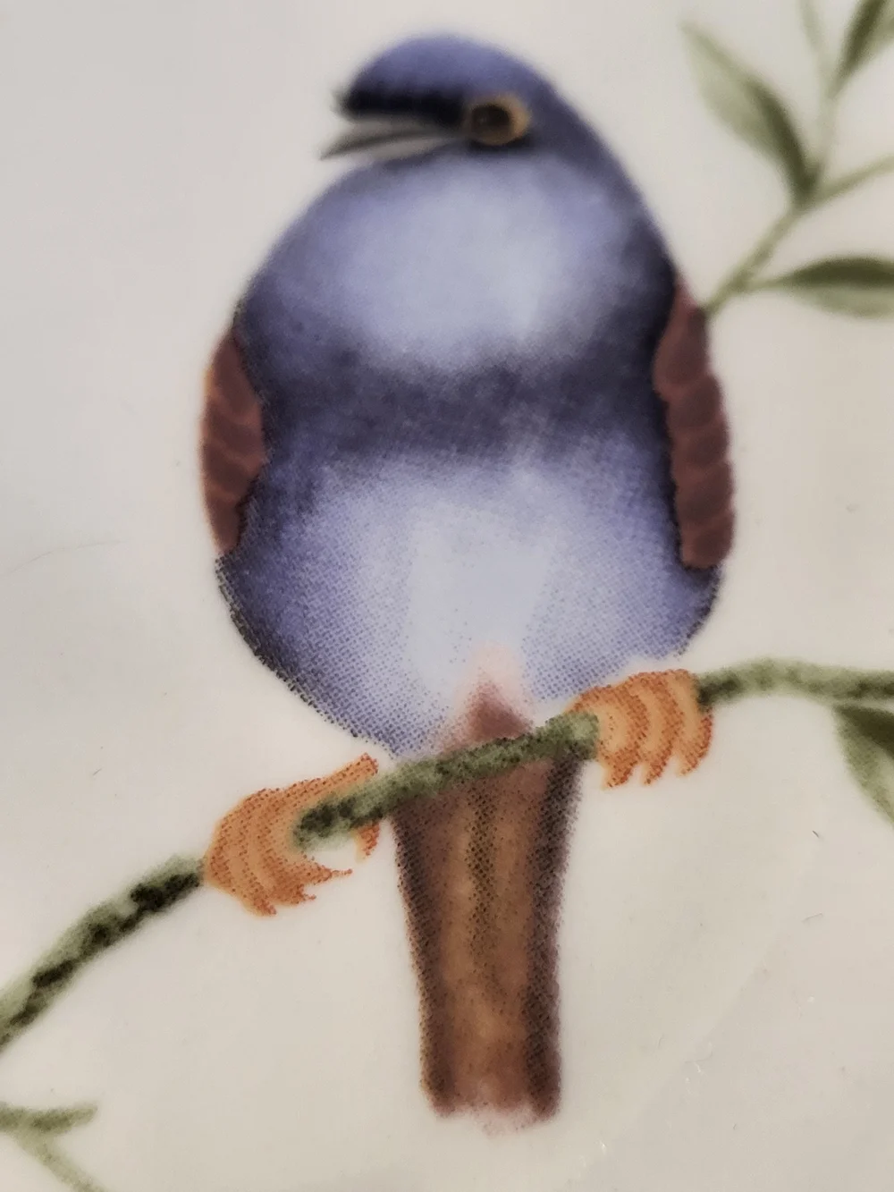 S/4 Vintage Farberware ARBOR LIFE Salad Plates Nuthatch/Bluebird